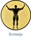 Bodaaja
